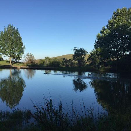 Drakensberg Dream, Champagne Valley Villa Luaran gambar